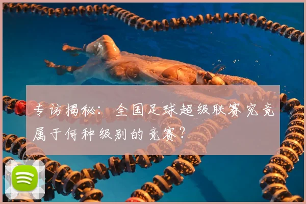 专访揭秘:全国足球超级联赛究竟属于何种级别的竞赛?