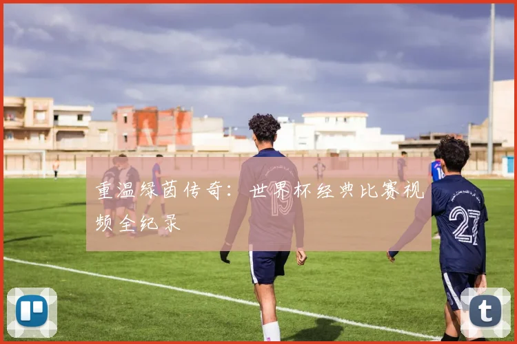 重温绿茵传奇:世界杯经典比赛视频全纪录